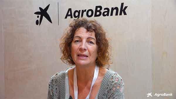 Analía Romano - CAMPO RICO