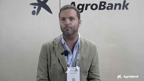 PISZOLLA - ALFONSO BARRAU