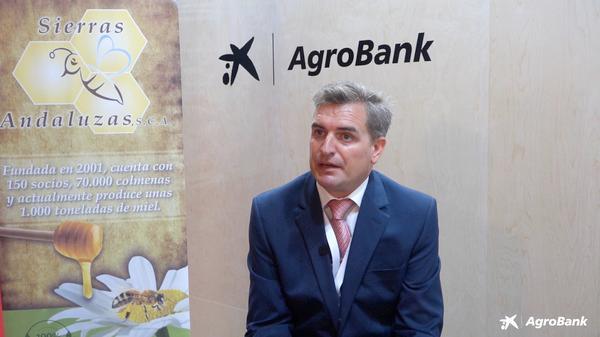 José Luís Pajuelo - SIERRA ANDALUZA