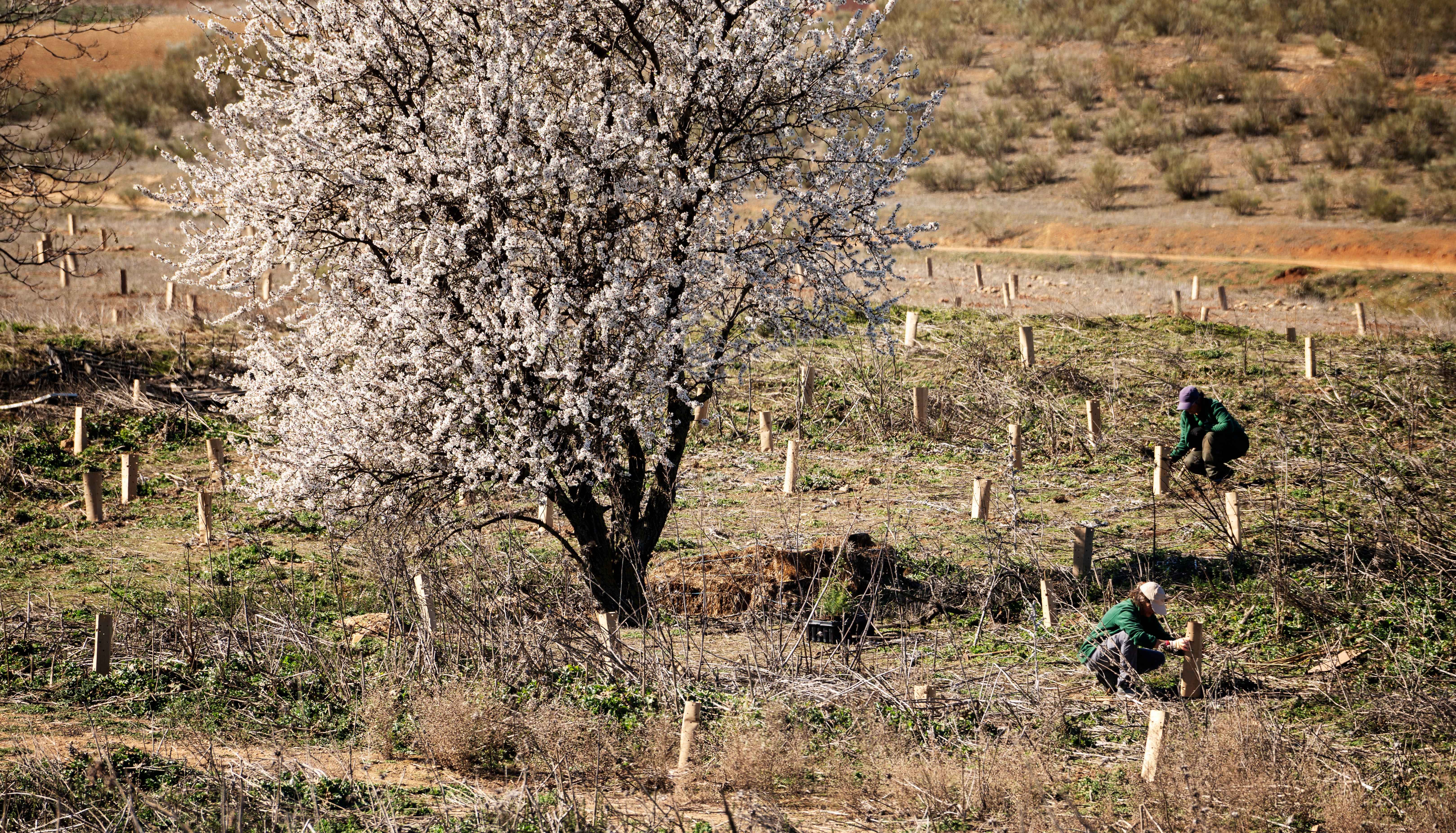 Agricultura